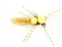 Ales Large Stonefly SPI 8