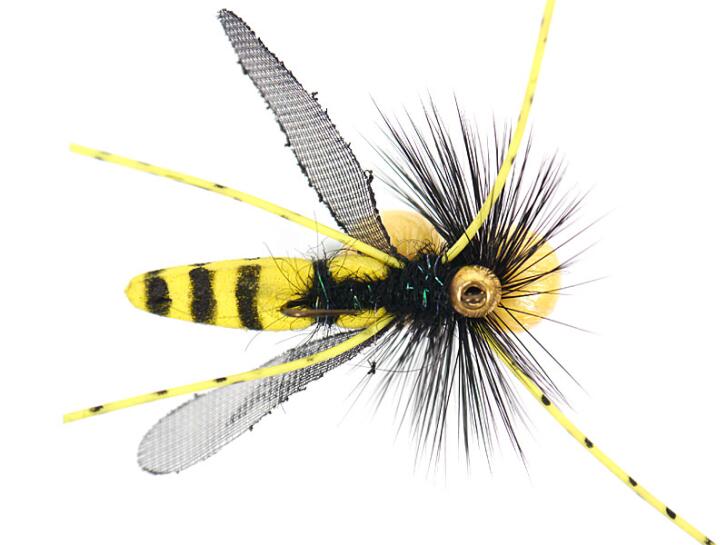 Dangerous Large Wasp SPI 8