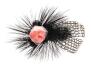 Black Spinfly SPI 8 Barbless